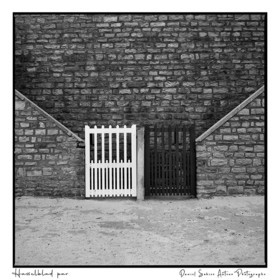 Création photographique noir et blanc argentique
