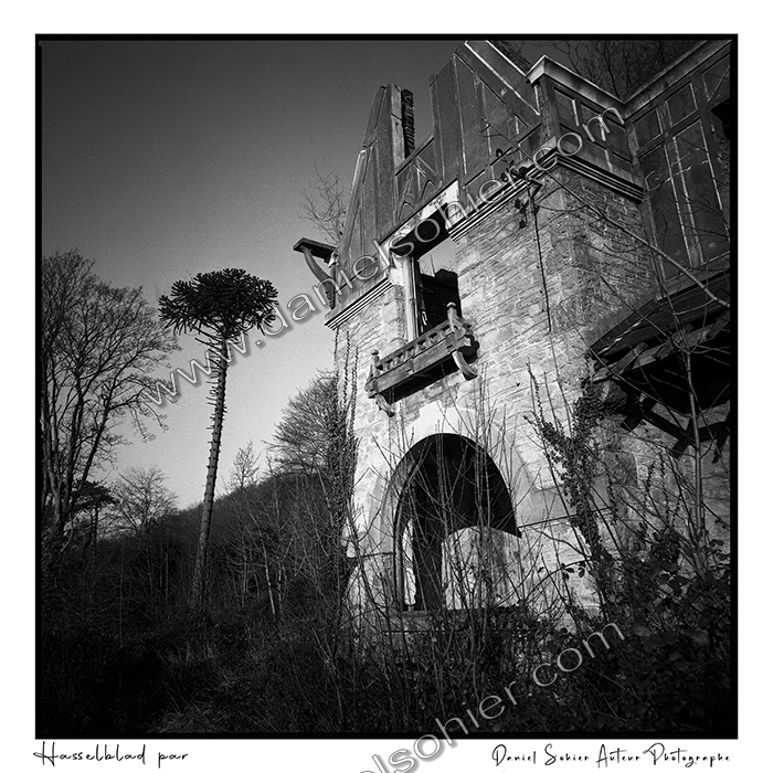 Edition d'art originale limitée.Exemplaire unique signé et numéroté sous la photographie.Tamponné, signé et numéroté également au dos de la photographie.Certificat d'authenticité.