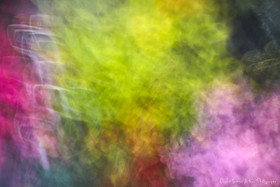 ICM Nature