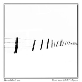 Création photographique noir et blanc argentique