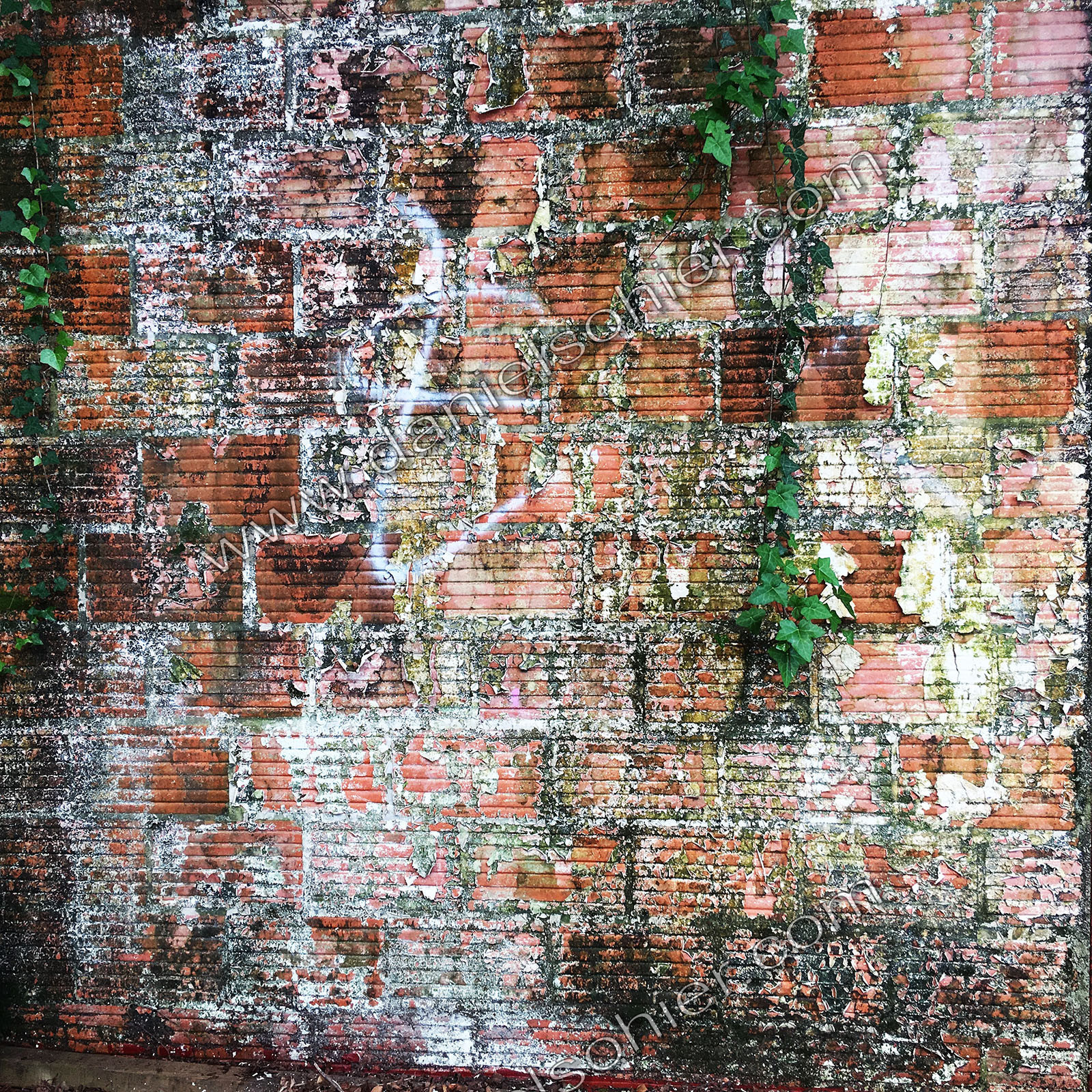 Hipstography couleurs