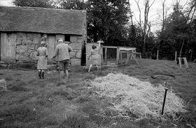 La journée du Cochon