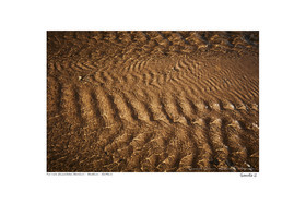 Photoggraphies de paysage