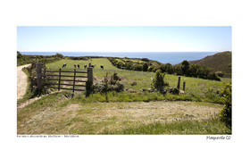 Photoggraphies de paysage