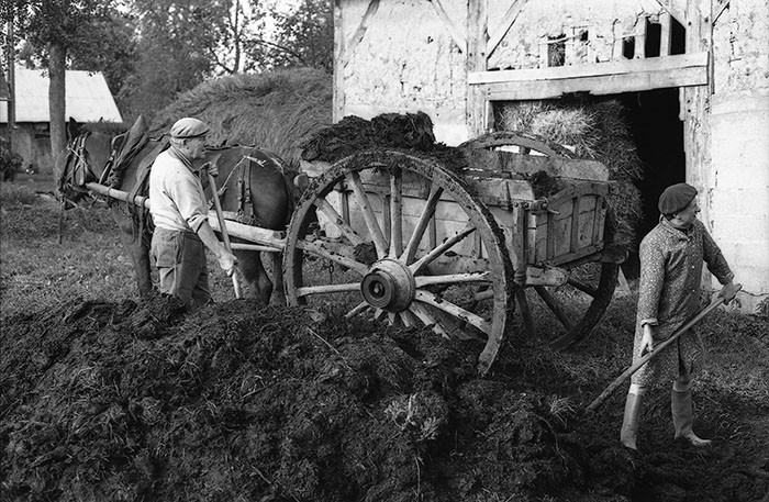 Le fumier dans l'Baniau