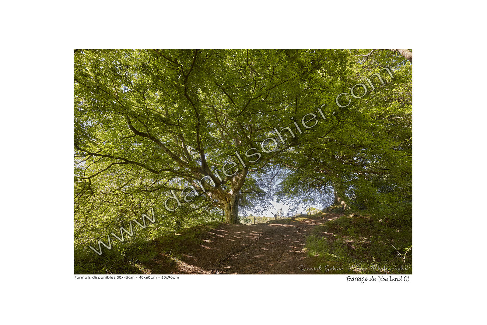 Photoggraphies de paysage