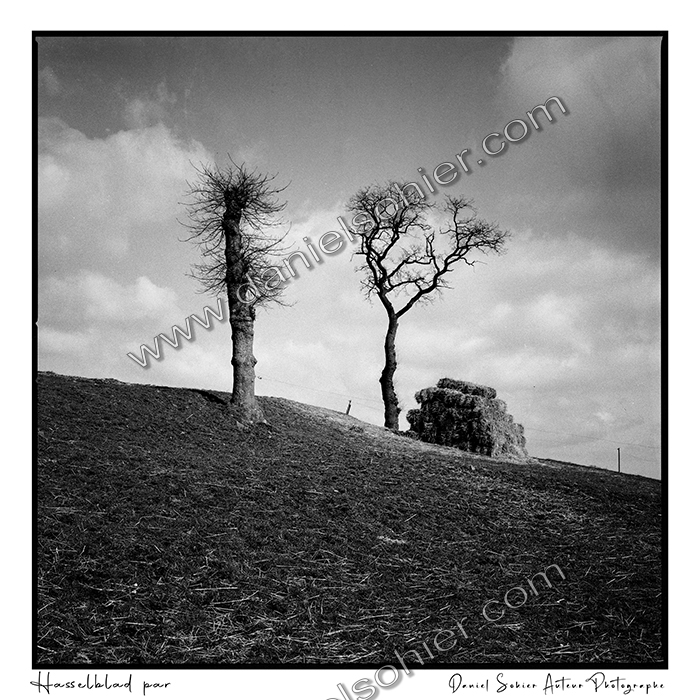 Création photographique noir et blanc argentique