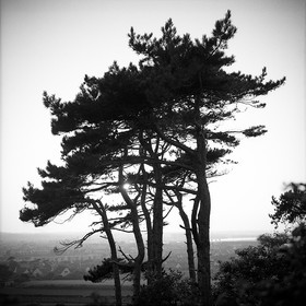 NOIR & BLANC