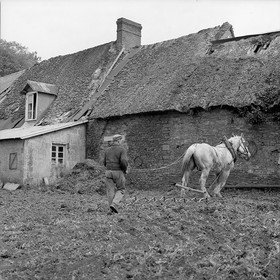 Le champ derrière la ferme