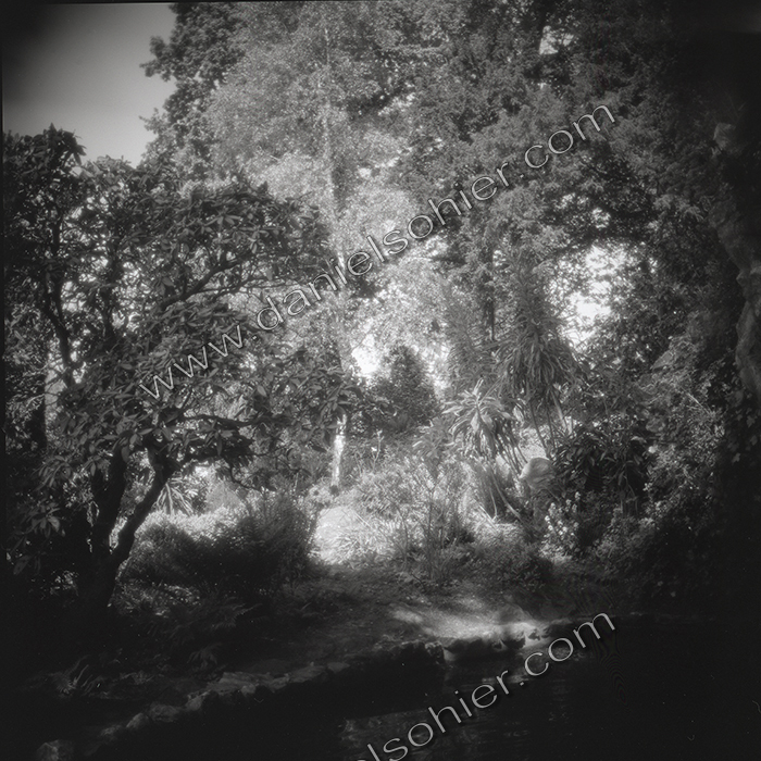 LE PARC - JARDIN FAVIER - Cherbourg en Cotentin - Manche - France 1986 - Hasselblad 6x6 argentique Photographie N° JF 08