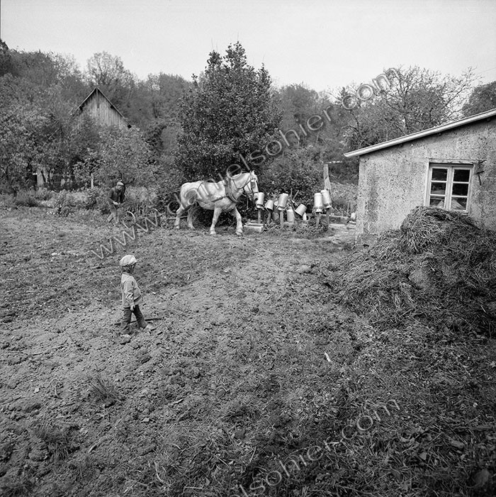 Le champ derrière la ferme