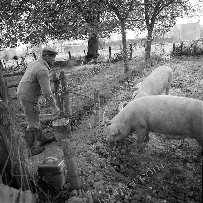 Reportage argentique