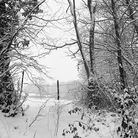 Création Noir&Blanc