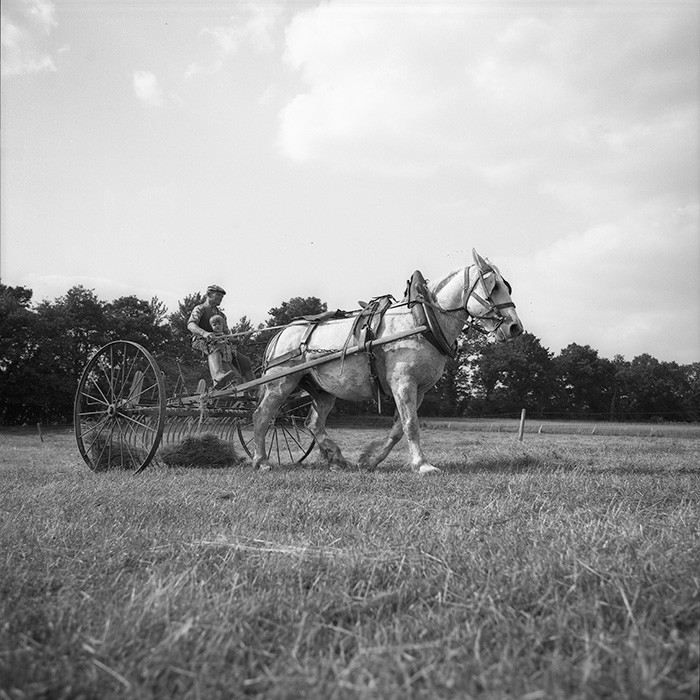 Le travail des champs