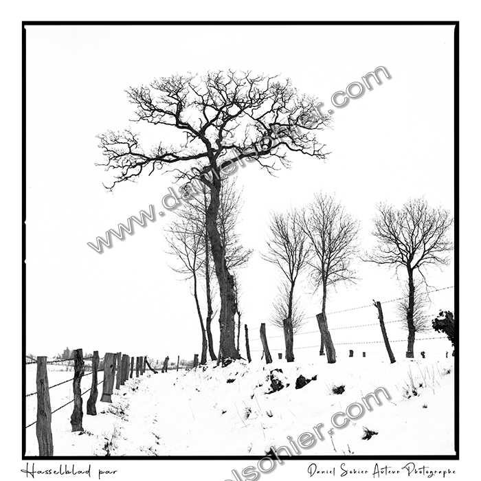 Création photographique noir et blanc argentique