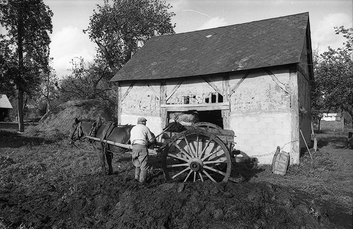 Le fumier dans l'Baniau