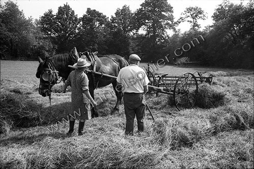 Reportage sur les foins