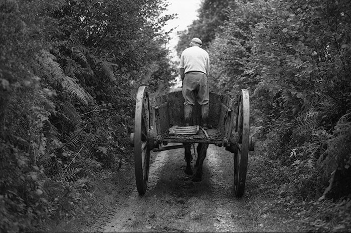Le fumier dans l'Baniau
