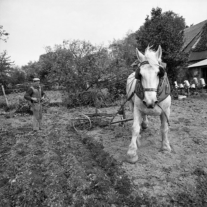 Le champ derrière la ferme