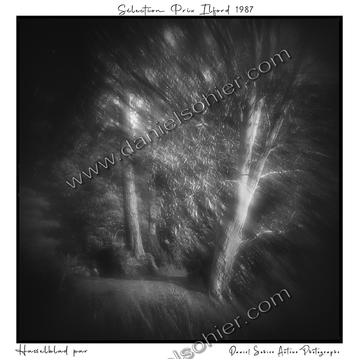 Création photographique noir et blanc argentique