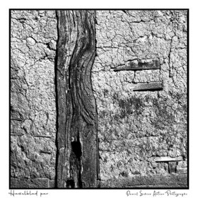 Création photographique noir et blanc argentique