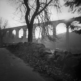 Création Noir&Blanc