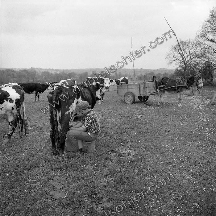 Traite dans les champs