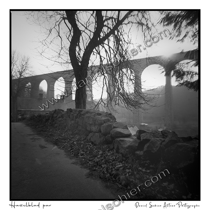 Création photographique noir et blanc argentique