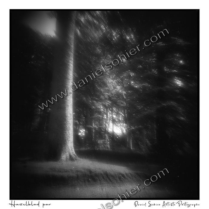 Création photographique noir et blanc argentique