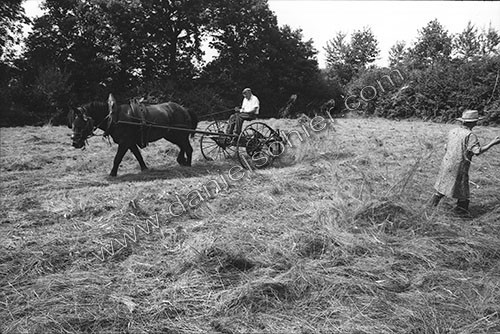Reportage sur les foins