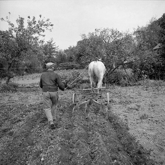 Le champ derrière la ferme