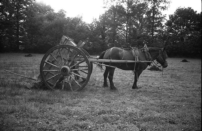 Le fumier dans l'Baniau