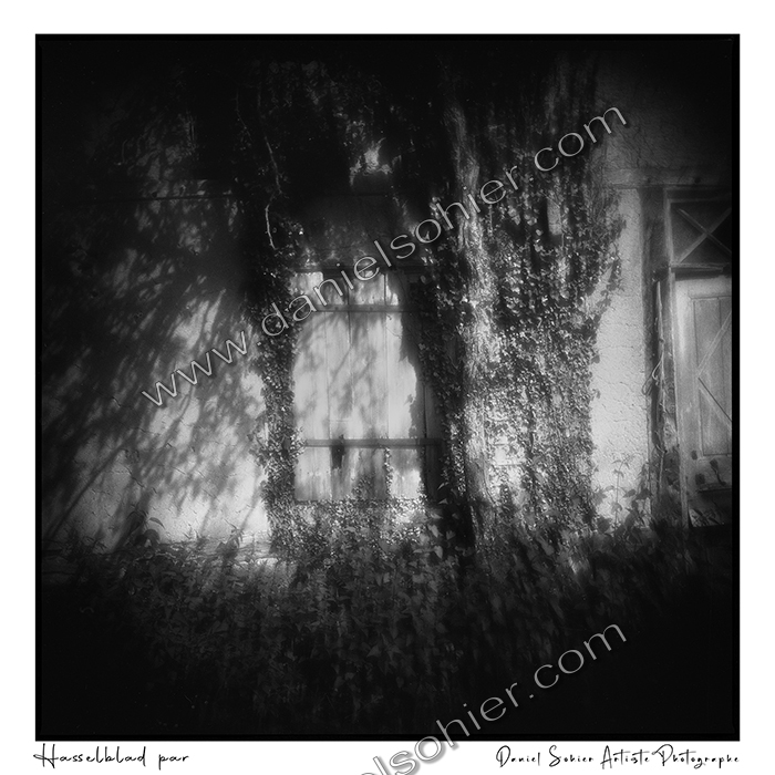 Création photographique noir et blanc argentique