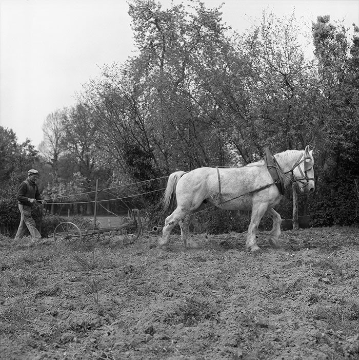 Le champ derrière la ferme