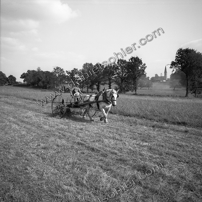 Le travail des champs
