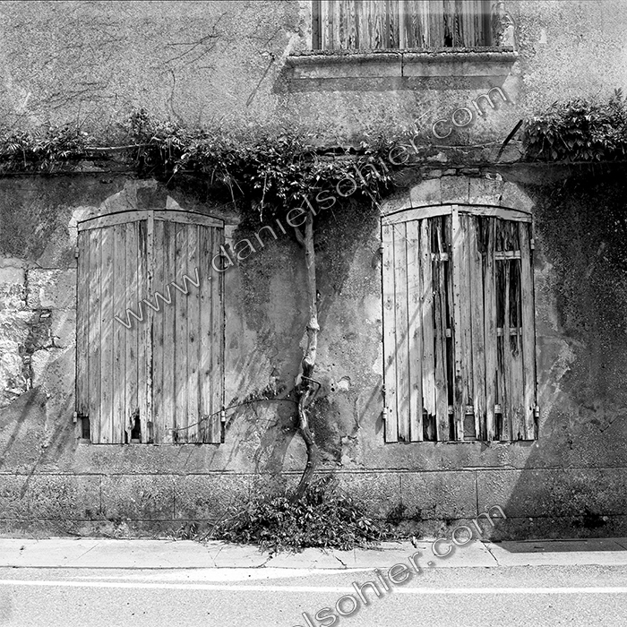 Création Noir&Blanc