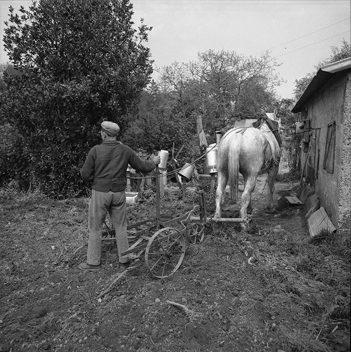 Le champ derrière la ferme