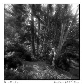 Création photographique noir et blanc argentique