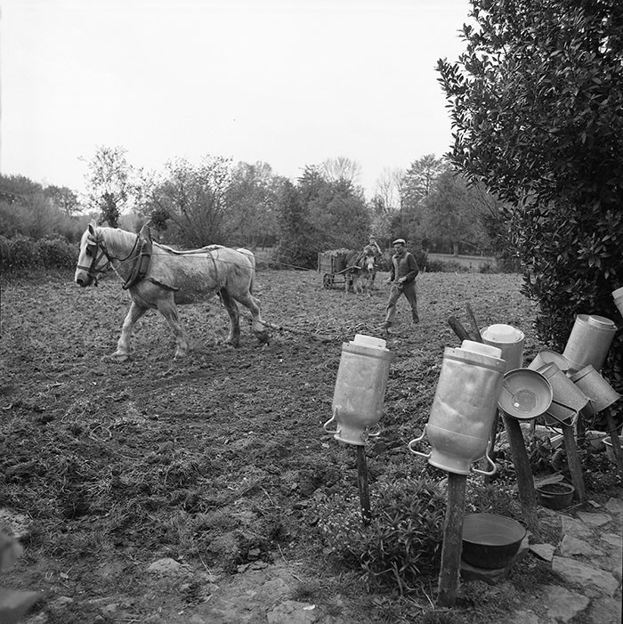 Le champ derrière la ferme