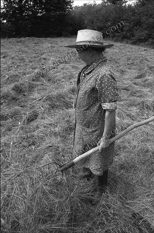 Reportage sur les foins