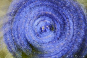 ICM Nature
