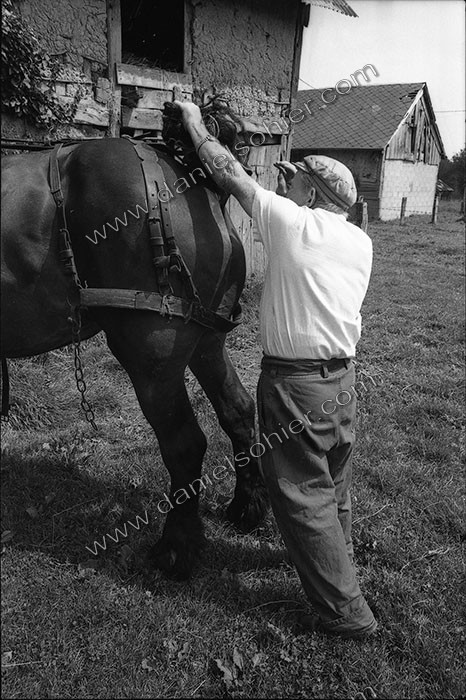 Le fumier dans l'Baniau