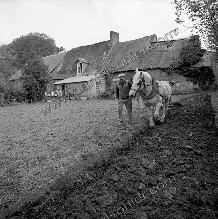 Le champ derrière la ferme