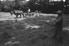 Reportage sur les foins