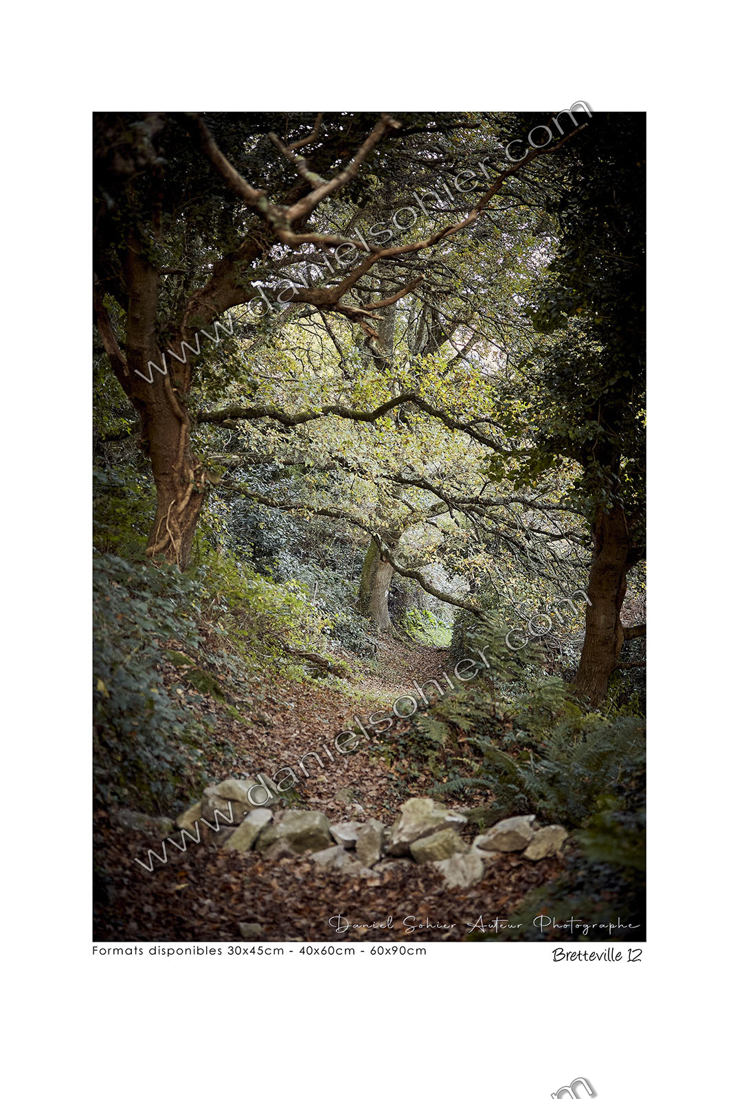 Photoggraphies de paysage