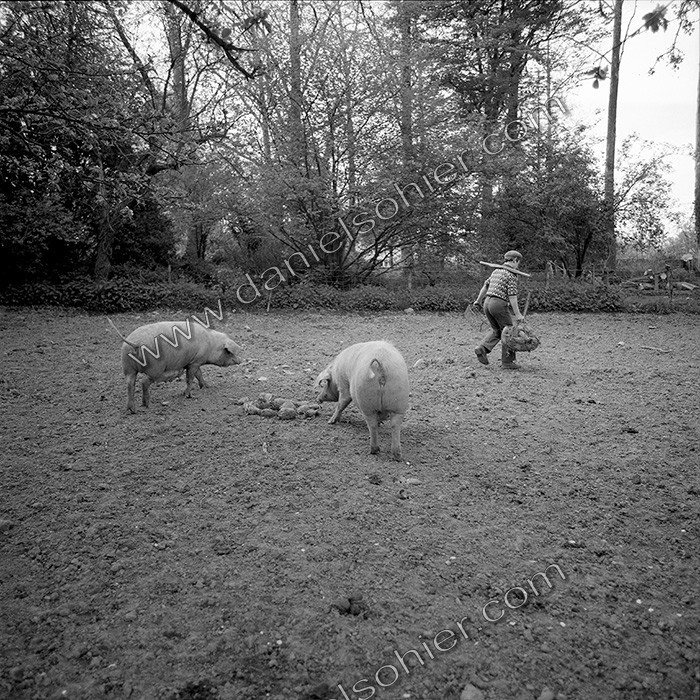 Reportage argentique