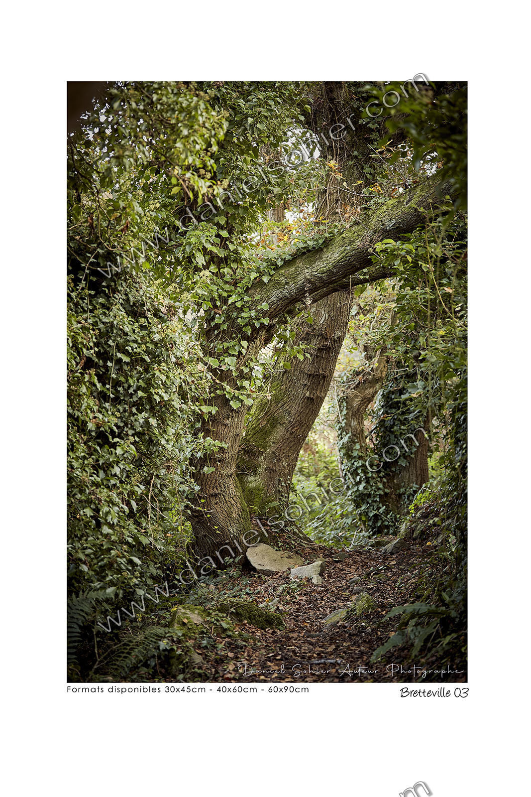 Photoggraphies de paysage