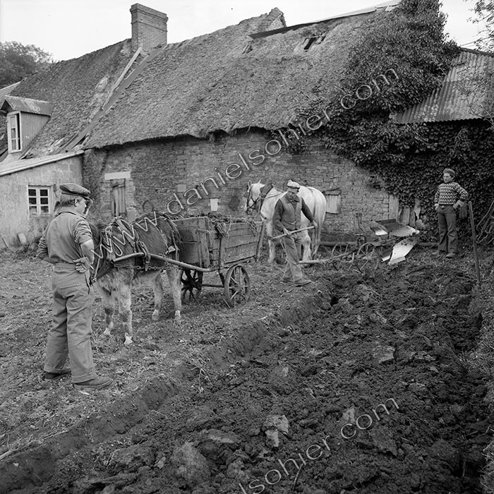 Le champ derrière la ferme