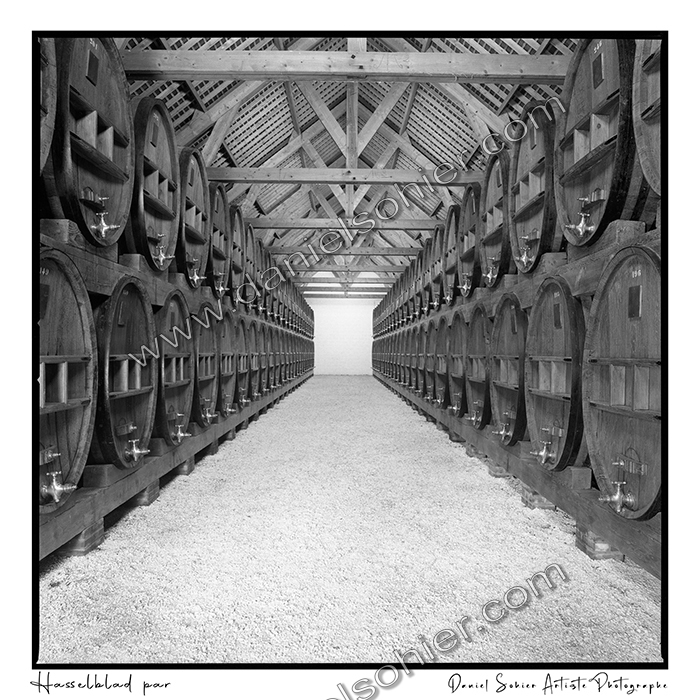 Création photographique noir et blanc argentique