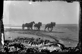 Photographie Gustave Bazire (1893-1941)